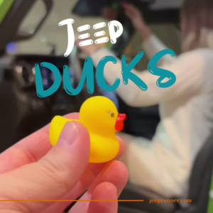Jeeper holding our duck duck jeep ducks