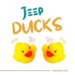 duck duck jeep ducks