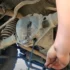 Jeep Death Wobble – Causes, Fix & Repair Cost