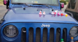 What Is Duck Duck Jeep? The Ultimate Guide